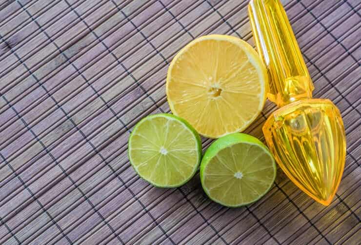 تصویر 5 از قیمت خرید لیمو ترش ساده + فروش ویژه
